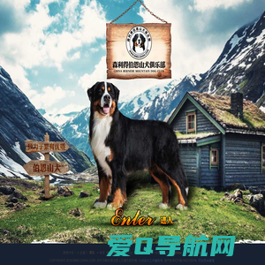 首页 - 伯恩山犬,伯恩山,森利得犬舍,bmdchina