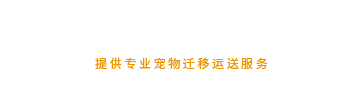 青岛航空货运_机场货运物流-青岛顺翔飞航空货运代理有限公司