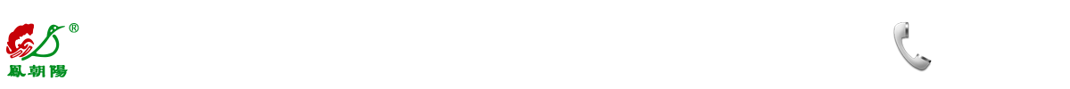 首页--四川万凤粮油有限公司|正宗中江挂面厂家|手工中江挂面厂家