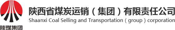 陕西省煤炭运销（集团）有限责任公司