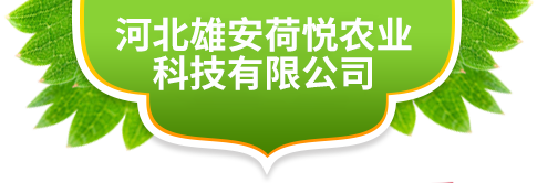 河北雄安荷悦农业科技有限公司